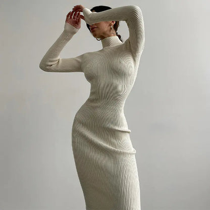 High Neck Ribbed Knit Dress for Women - Autumn/Winter 2022