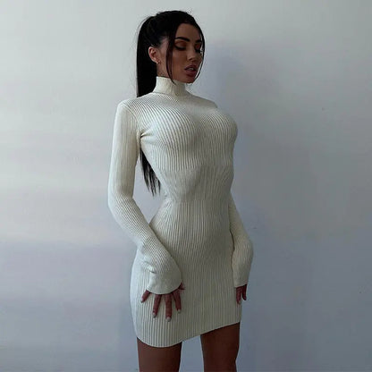 High Neck Ribbed Knit Dress for Women - Autumn/Winter 2022