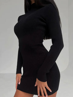 High Neck Ribbed Knit Dress for Women - Autumn/Winter 2022
